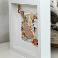 Image 3 of Specked Crab