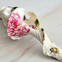 Image 2 of Horse Conch XL