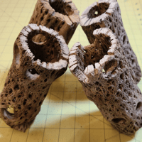 Image 2 of Cholla Cactus