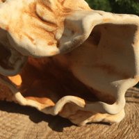 Image 3 of Fish tank