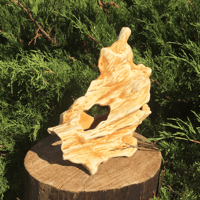 Image 1 of Fish tank