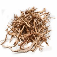 Image 1 of Manzanita Reptile