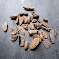 Image 1 of Baltic Coastal