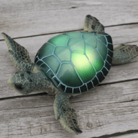 Image 2 of LED Sea Turtle