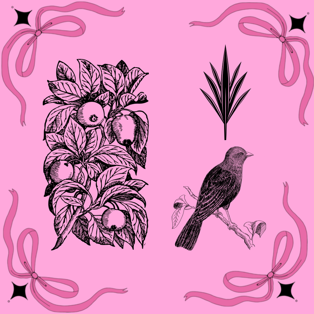 Image of Soft pink
