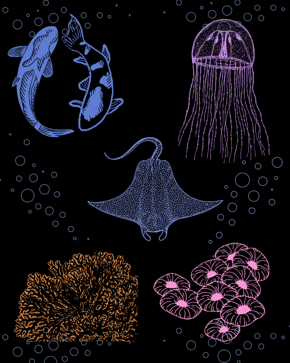 Image of Sea babys 