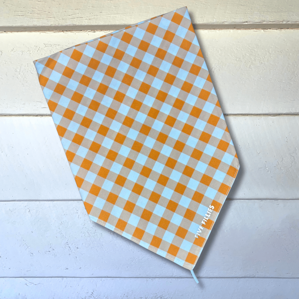 Image of Orange Gingham Scarf
