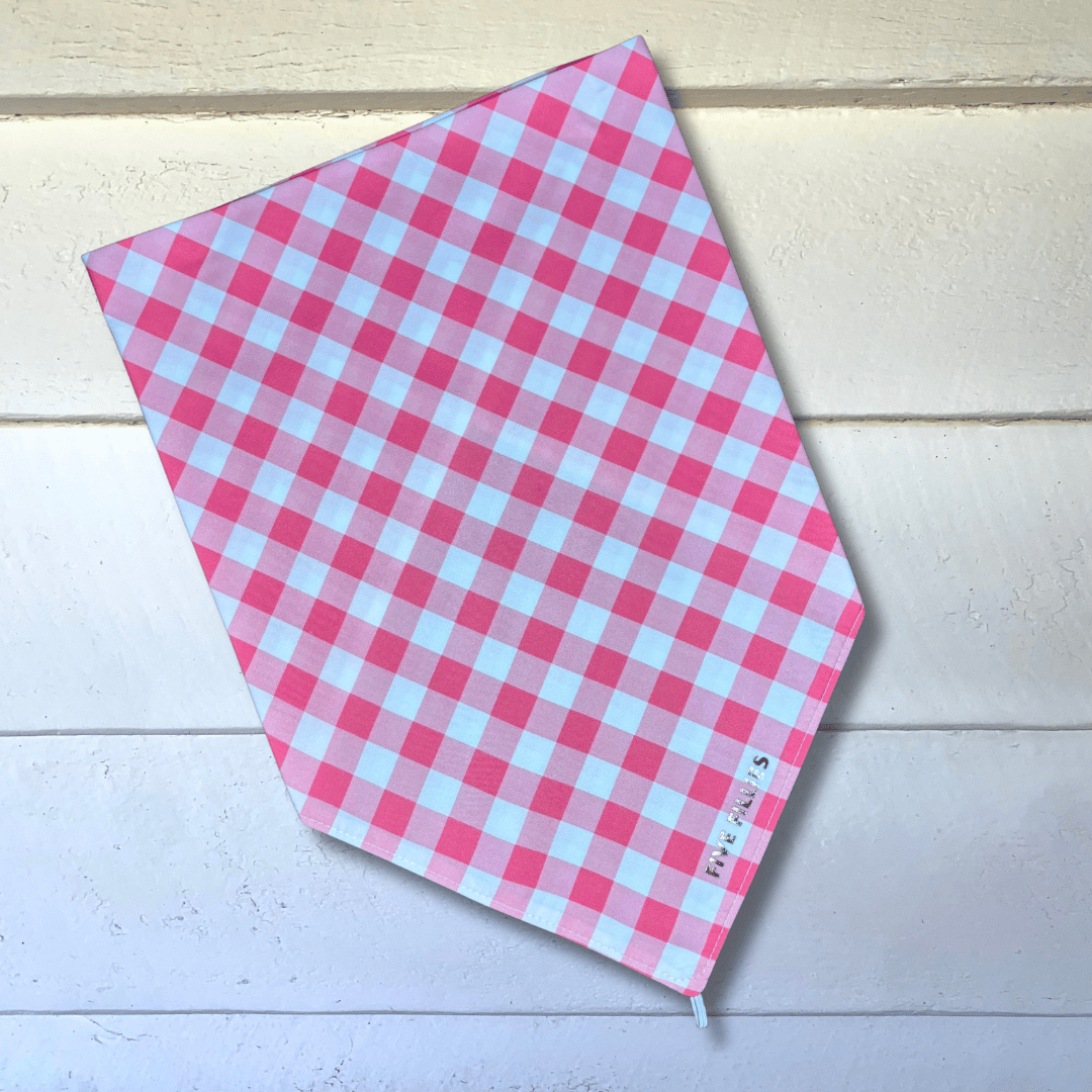 Image of Watermelon Gingham Scarf