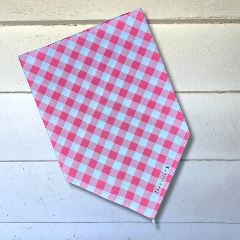 Image of Watermelon Gingham Scarf