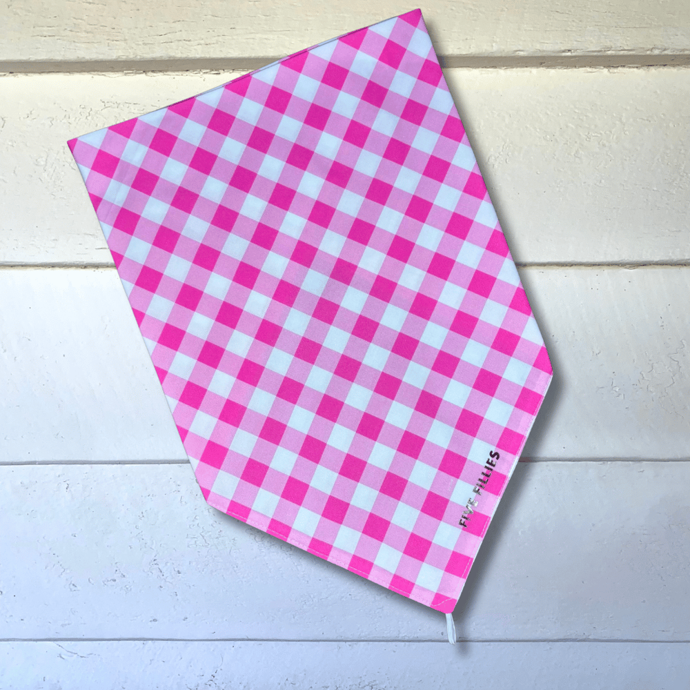Image of Mid Pink Gingham Scarf