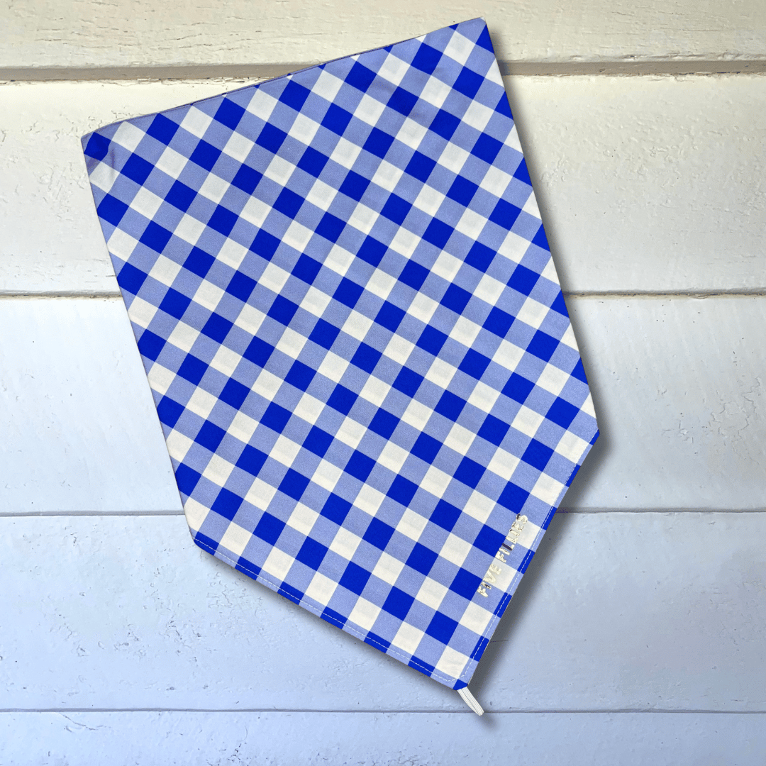 Image of Blueberry Gingham Scarf