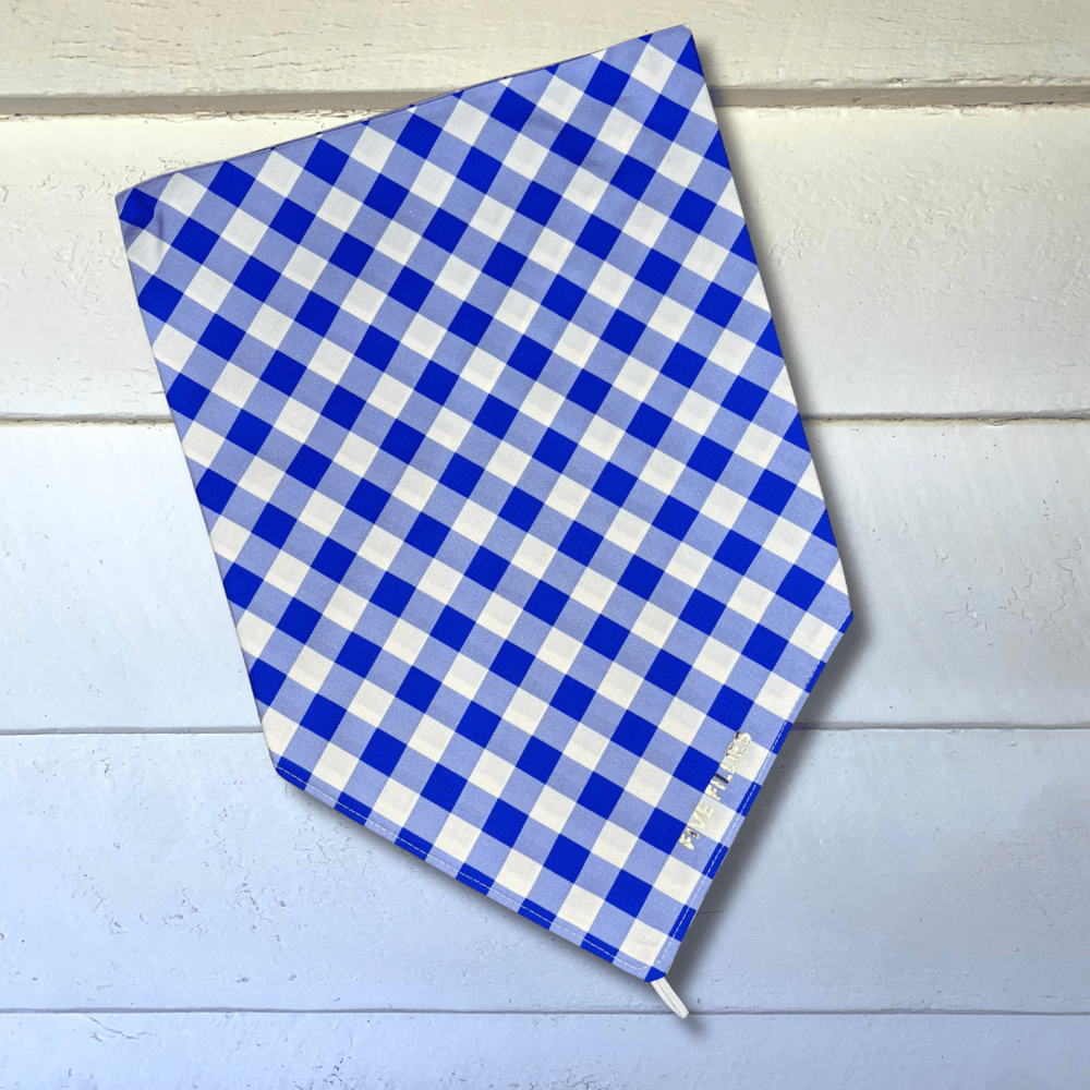 Image of Blueberry Gingham Scarf