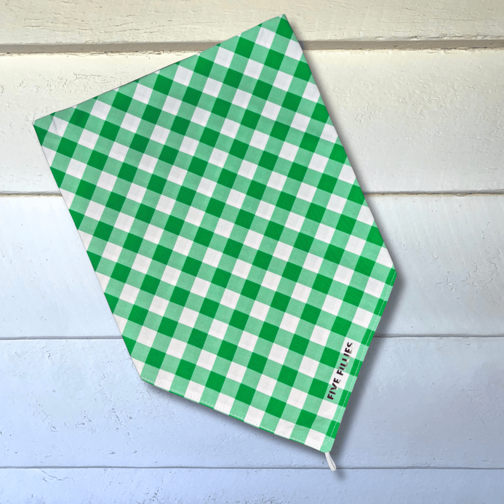 Image of Shepard Gingham Scarf
