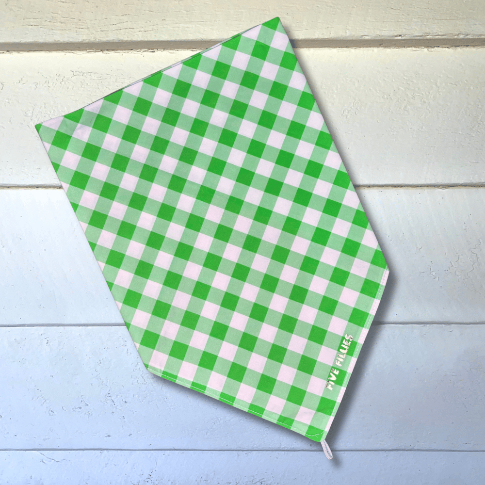 Image of Kiwi Gingham Scarf