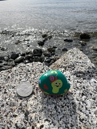 Image 2 of Shellby the Turtle Rock 🐢💚