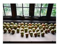 Pears on the Window Print