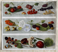 Eliot Hodgkin vintage print from a publication (B)