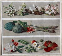 Eliot Hodgkin vintage print from a publication (D)