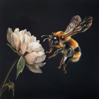 Image 1 of Sarah Eden "Pollinator"