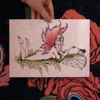 ‘Fairy & Spider’ Print