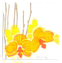 #135 Orchids