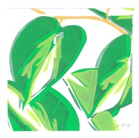 #136 Pothos
