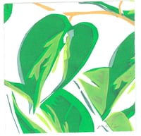 #141 Pothos II 