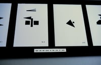 Image 4 of THEY ARE NOT BIRDS OF THE ISLE OF LEWIS    (SCREEN PRINT) 