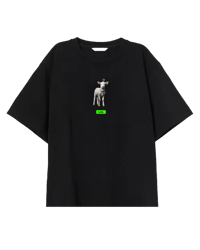 Image 2 of His Sheep  