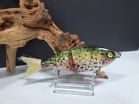 Image 1 of Sanger Custom Lures-Cappie colorway #27