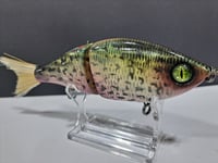 Image 3 of Sanger Custom Lures-Cappie colorway #27