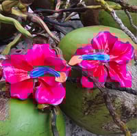 Image 1 of Las tropi- XL earrings