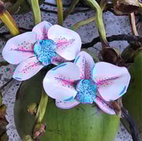 Image 4 of Las tropi- XL earrings