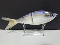 Image 2 of Sanger Custom Lures- Slim Shad colorway #52
