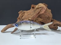 Image 4 of Sanger Custom Lures- Slim Shad colorway #52