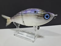 Image 3 of Sanger Custom Lures- Slim Shad colorway #52