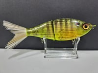 Image 2 of Sanger Custom Lures- Slim Shad colorway #43