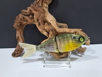 Image 1 of Sanger Custom Lure's- colorway #30