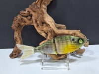 Image 5 of Sanger Custom Lure's- colorway #30