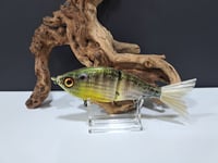 Image 2 of Sanger Custom Lures- (Perch)