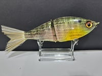 Image 5 of Sanger Custom Lures- (Perch)