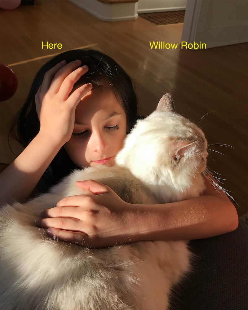 Image of Here