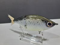 Image 2 of Sanger Custom Lures- ( Custom Color )