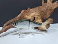 Image 1 of Sanger Custom Lures- ( Custom Color )
