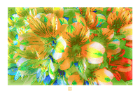 Image 1 of VARIATION ON A THEME (24X36)