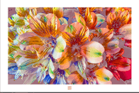 Image 1 of HAPPY DAZE #2 (24X36)