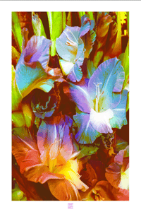 Image 1 of GLAD TO MEET YA' (36X24)