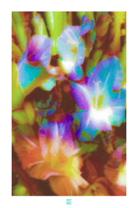 Image 1 of SOFT GLAD TO MEET YA' (36X24)