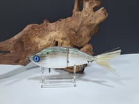 Image 1 of Sanger Custom Lure Slim Shad colorway #16