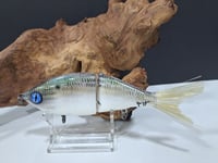 Image 5 of Sanger Custom Lure Slim Shad colorway #16